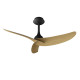 Ventilateur