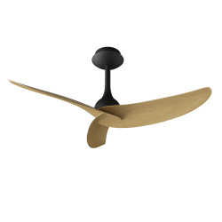 Ventilateur