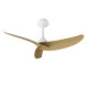 Ventilateur