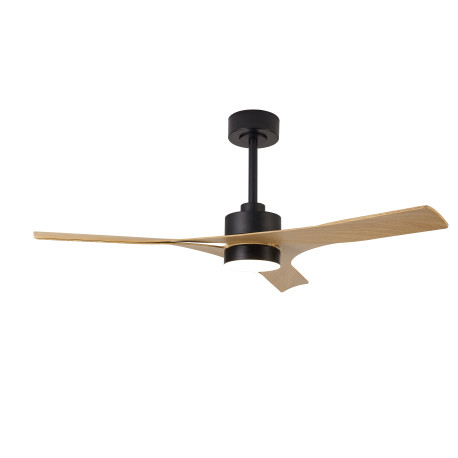 Ventilateur