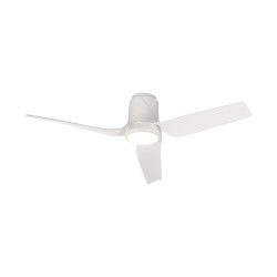 Ventilateur