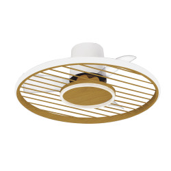 Ventilateur 