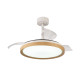 Ventilateur 