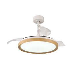 Ventilateur 