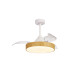 Ventilateur 