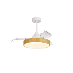 Ventilateur 