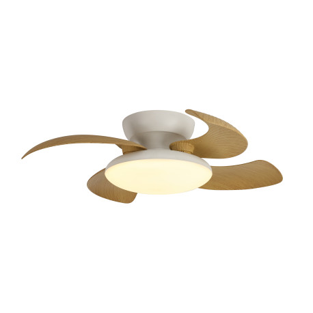 Ventilateur 