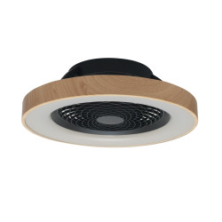 Ventilateur 