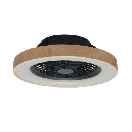Ventilateur 