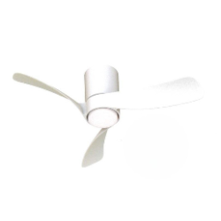Ventilateur