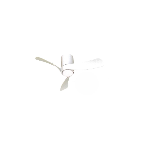 Ventilateur