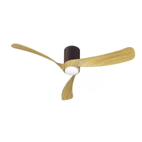 Ventilateur