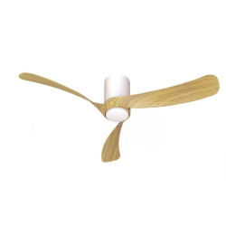 Ventilateur