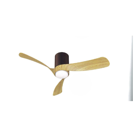 Ventilateur