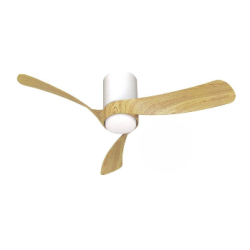 Ventilateur