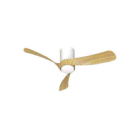 Ventilateur
