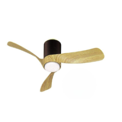 Ventilateur