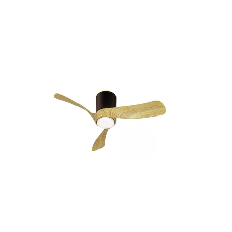 Ventilateur