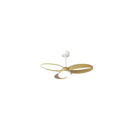Ventilateur
