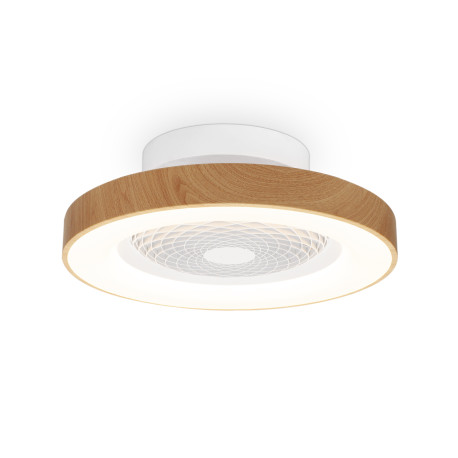 Ventilateur 
