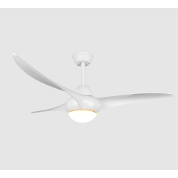 Ventilateur