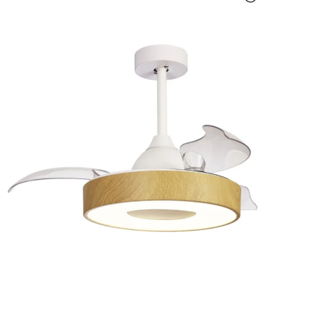 Ventilateur 