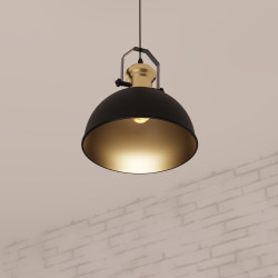 Suspension 