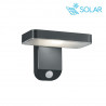 Applique solaire détecteur gris 290lm