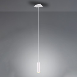 Suspension 