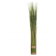 Fagot herbe H79