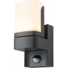 Applique orientable anthracite 650lm détecteur