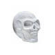 Tête de mort céramique blanche