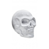 Tête de mort céramique blanche