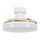 Ventilateur