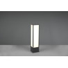 Borne rect anthracite 15w 1700lm 3k 60cm