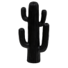 Déco cactus noir extérieur 