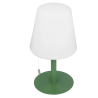 Lampe rechargeable verte RGB 