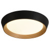 Plafonnier D44 noir bois 30w 2700lm CCT
